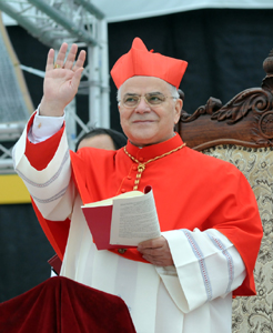 ジョゼ・サライヴァ枢機卿